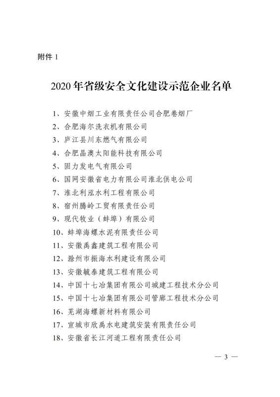 公司榮獲“省級安全文化建設示范企業(yè)”稱號(圖3)